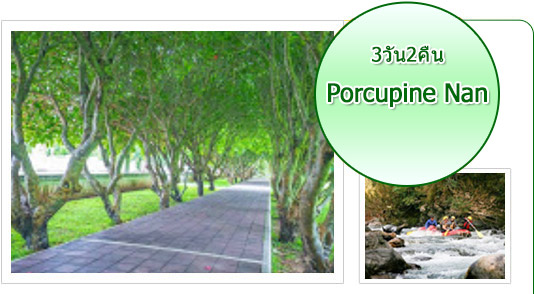 Porcupine Nan: 3 วัน 2 คืน Porcupine Nan: 3 วัน 2 คืน